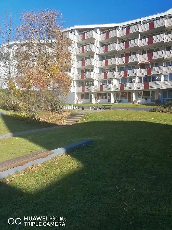 King Panorama Mit Netflix Hotel Sankt Englmar Germany